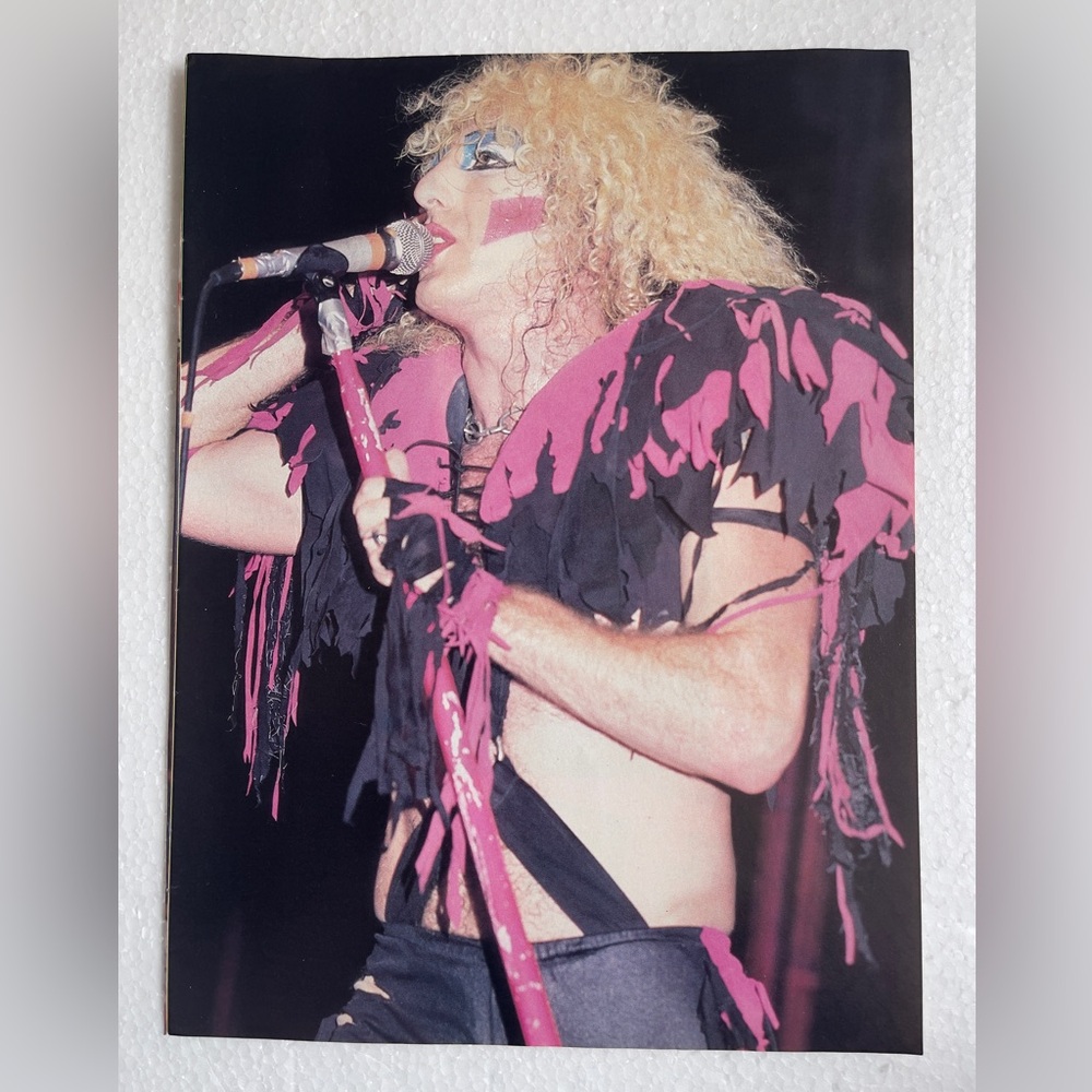 Twisted Sister Dee Snider Pinup